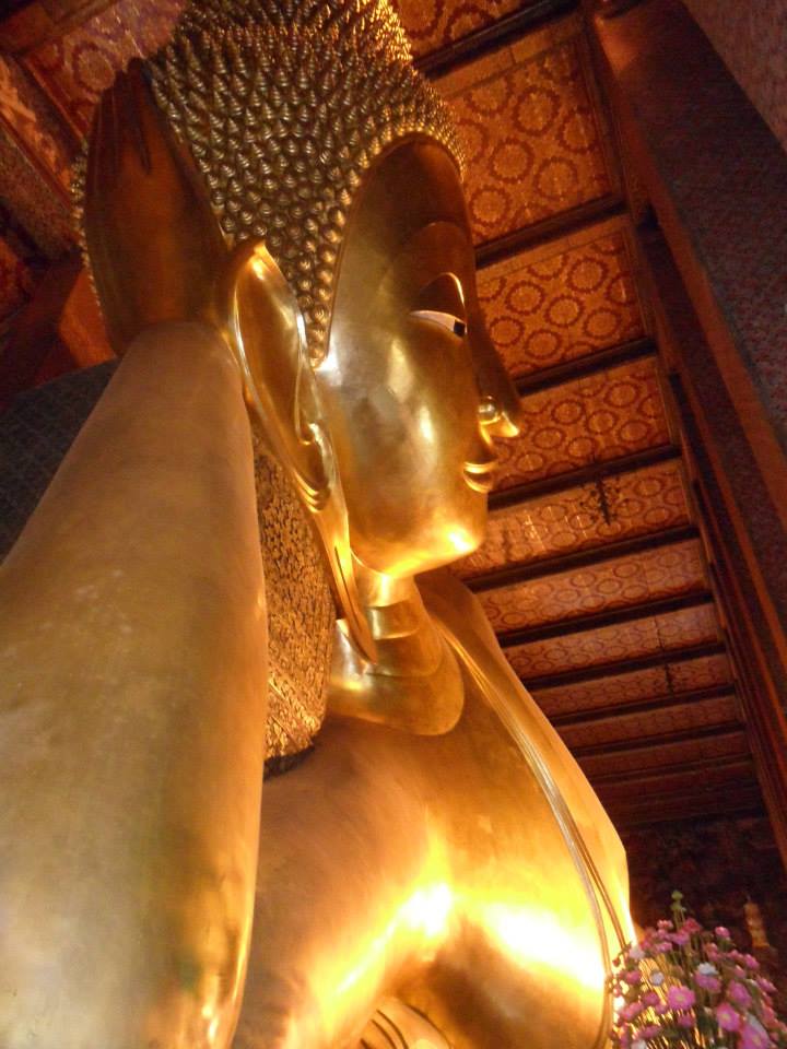 1001579_10151617817113253_231427232_n