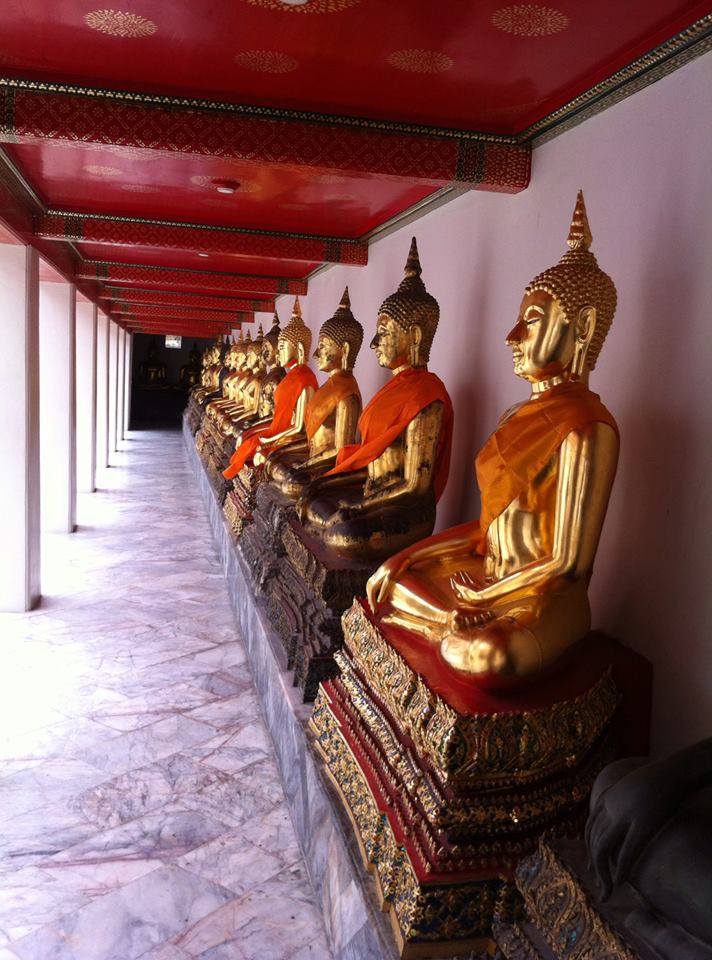 1080262_10151603585877842_1983487752_n